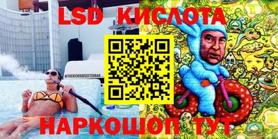 крисы Малгобек