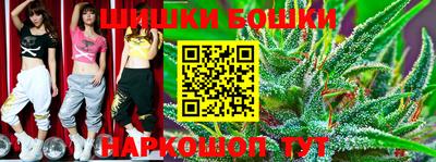 крисы Малгобек