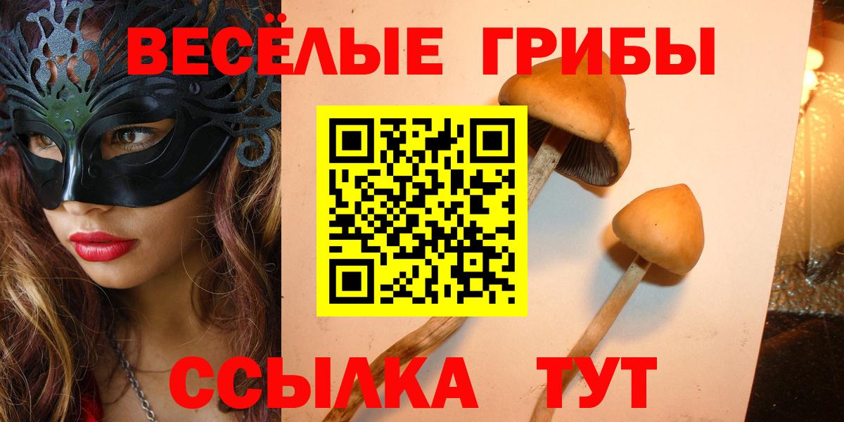 Шадринск  Галлюциногенные грибы Cubensis  Вход с VPN 