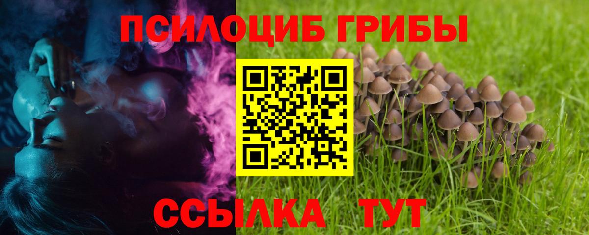 Псилоцибиновые грибы MAGIC MUSHROOMS Шадринск