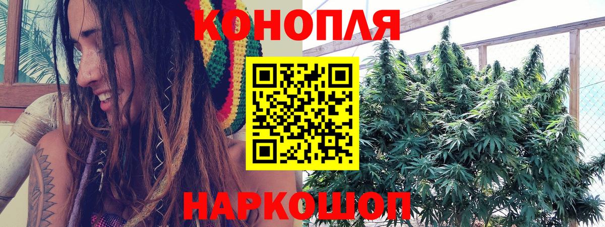 Шишки марихуана конопля  Бошки Шишки ГИДРОПОН  Вход с VPN  Бошки Шишки Bruce Banner  Шадринск 